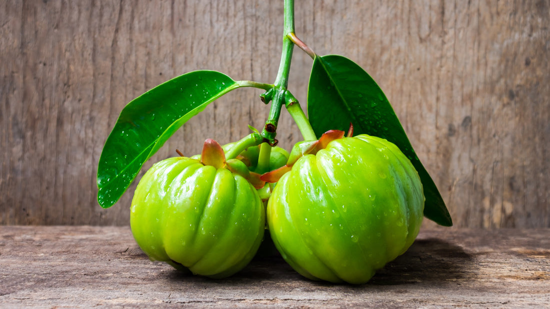 best garcinia cambogia supplement