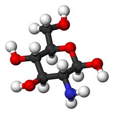 glucosamine sulfate side effects