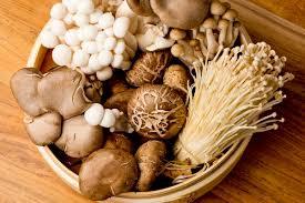 Mushroom Supplements